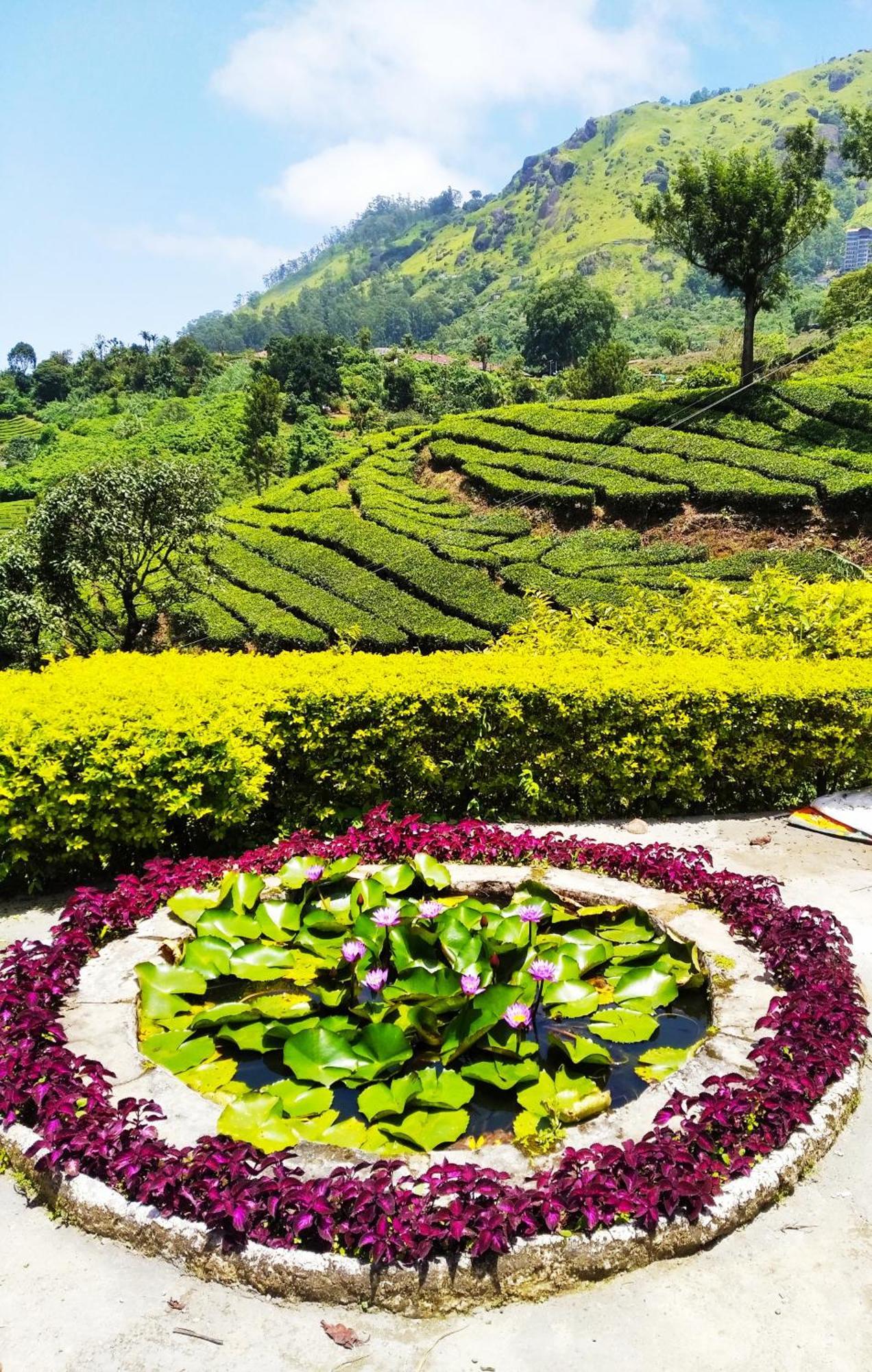 Blackcherry Munnar Ngoại thất bức ảnh
