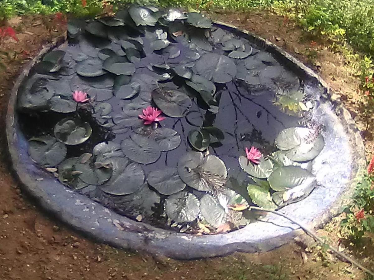 Blackcherry Munnar Ngoại thất bức ảnh